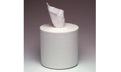 CenterPull Paper Towels (White)